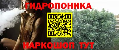 молекула духа Северобайкальск