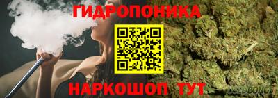 молекула духа Северобайкальск