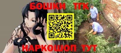 молекула духа Северобайкальск