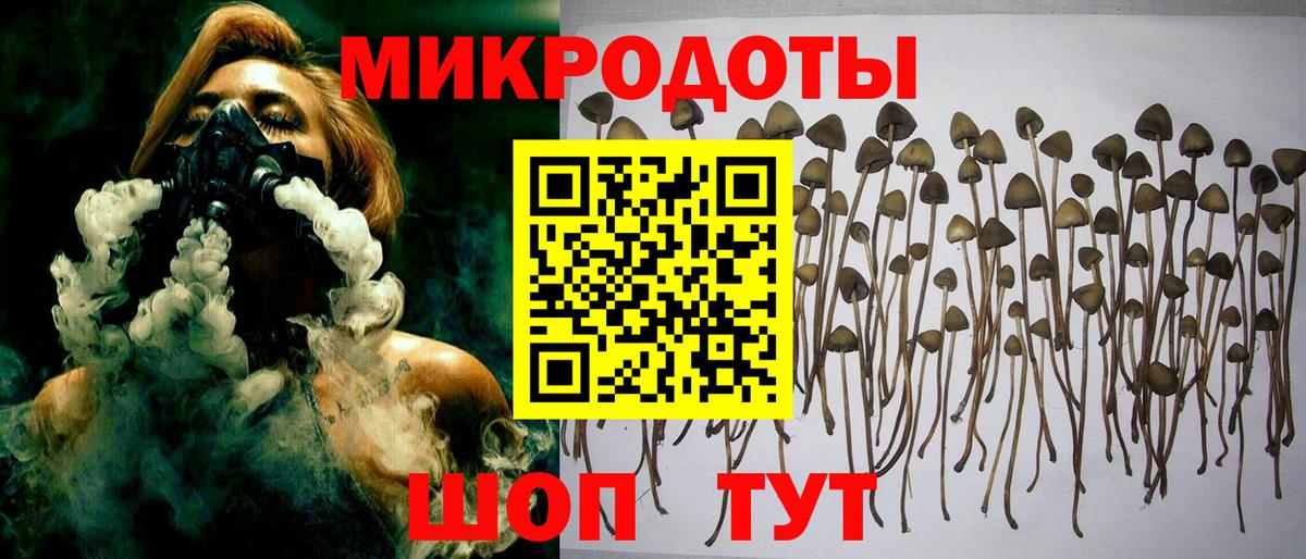 Псилоцибиновые грибы Psilocybe Нурлат